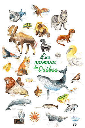 Affiche les animaux du Québec